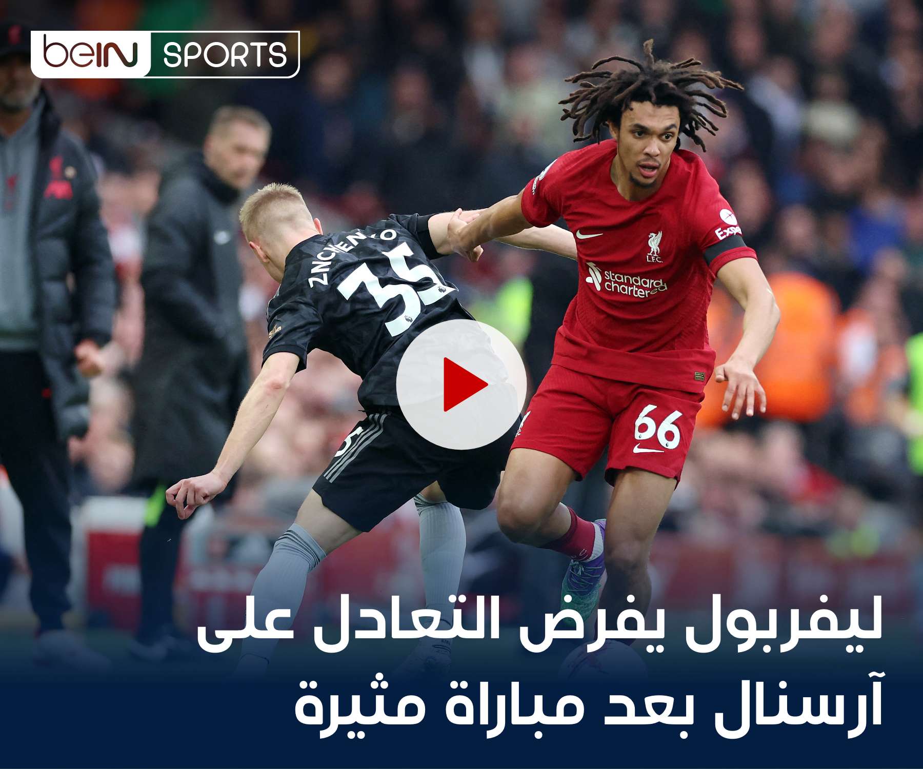 شاهد الفيديو شاهد الفيديو