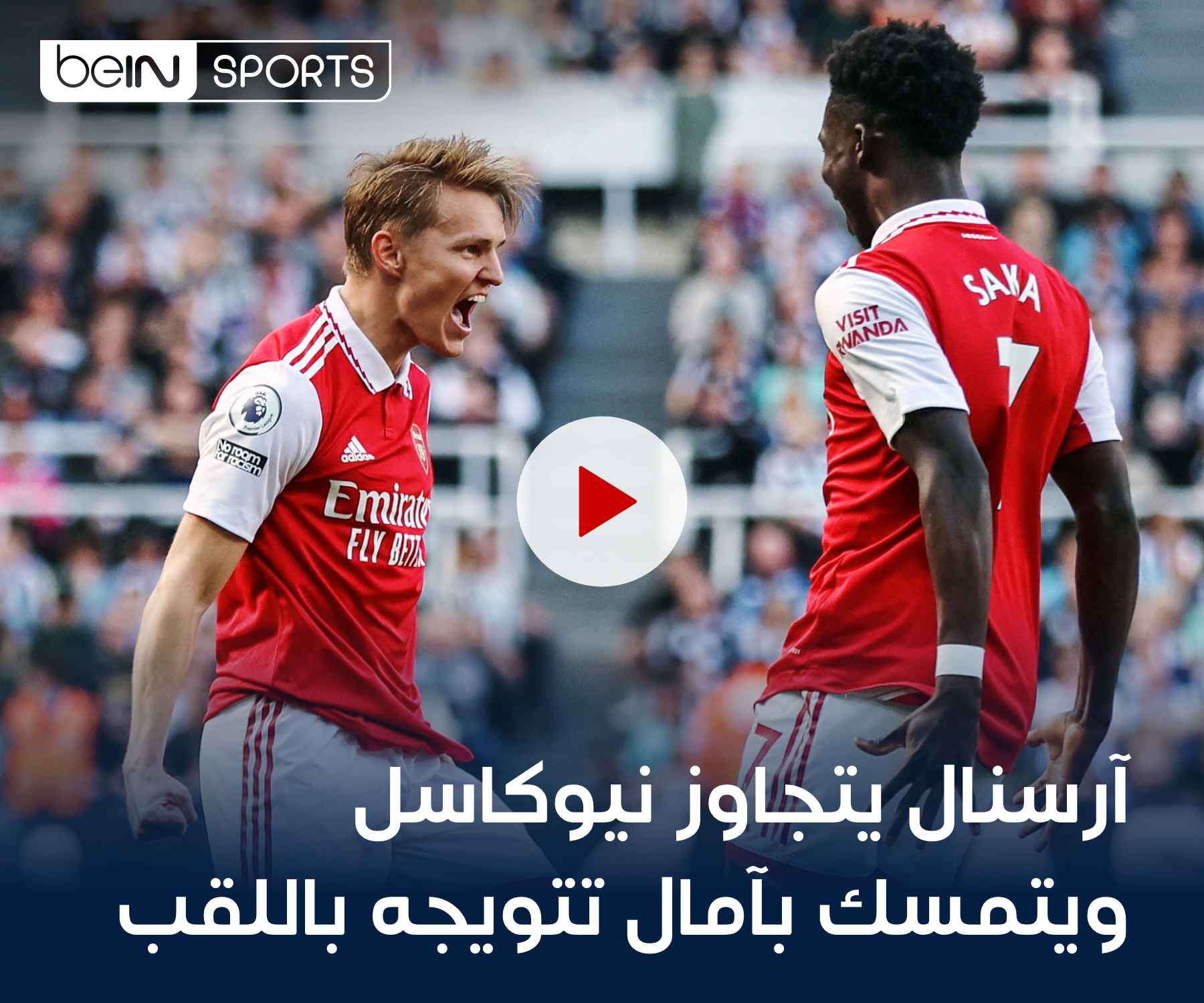 شاهد الفيديو شاهد الفيديو