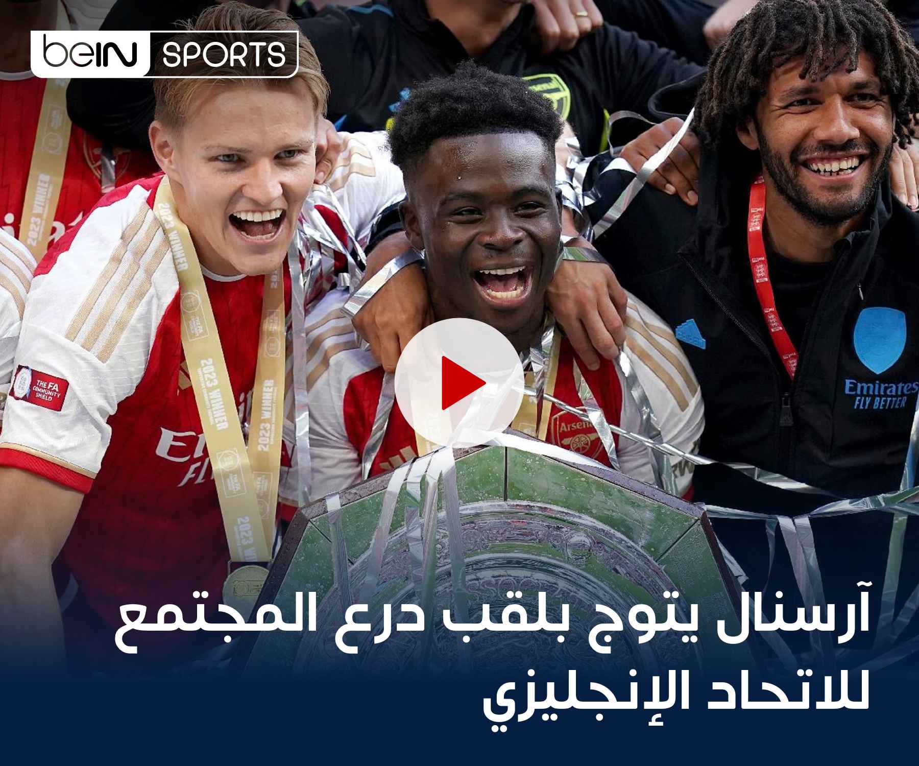 شاهد الفيديو