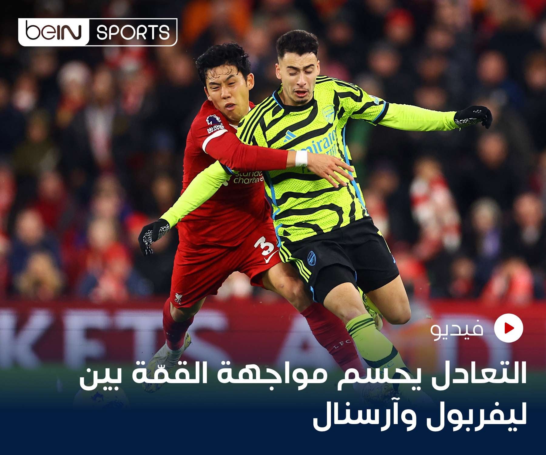 شاهد الفيديو شاهد الفيديو