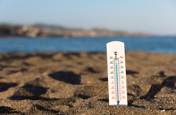 Le plan canicule : préparation, prévention et indispensables à avoir