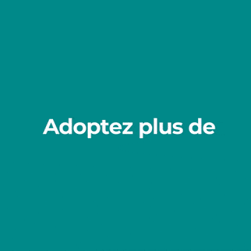 Mobilité
