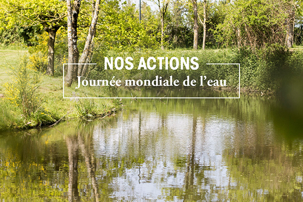 Journée mondiale de l'eau