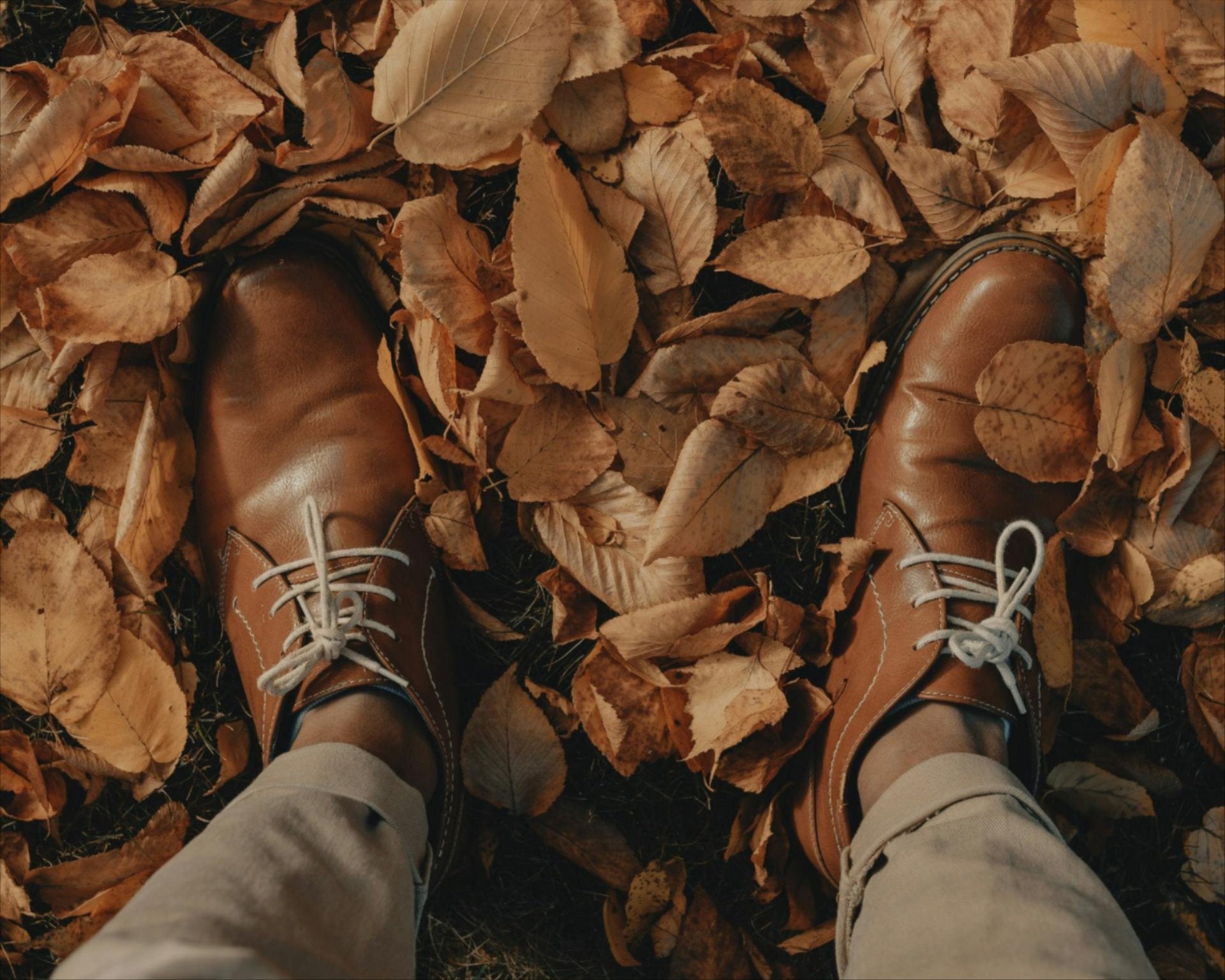 Entretenir et sublimer ses chaussures 