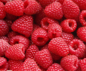 Framboise