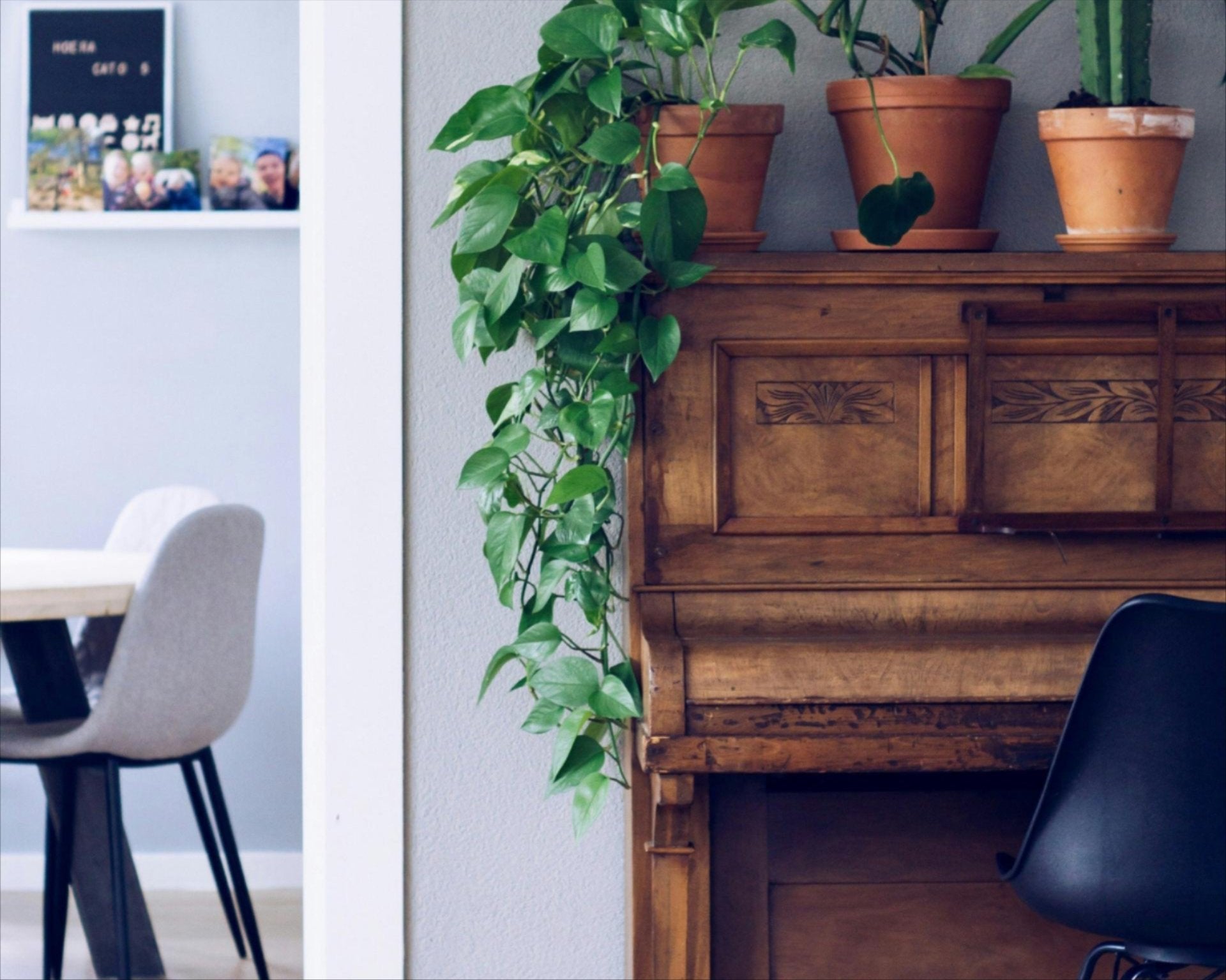 Comment prendre soin de vos meubles en bois ?