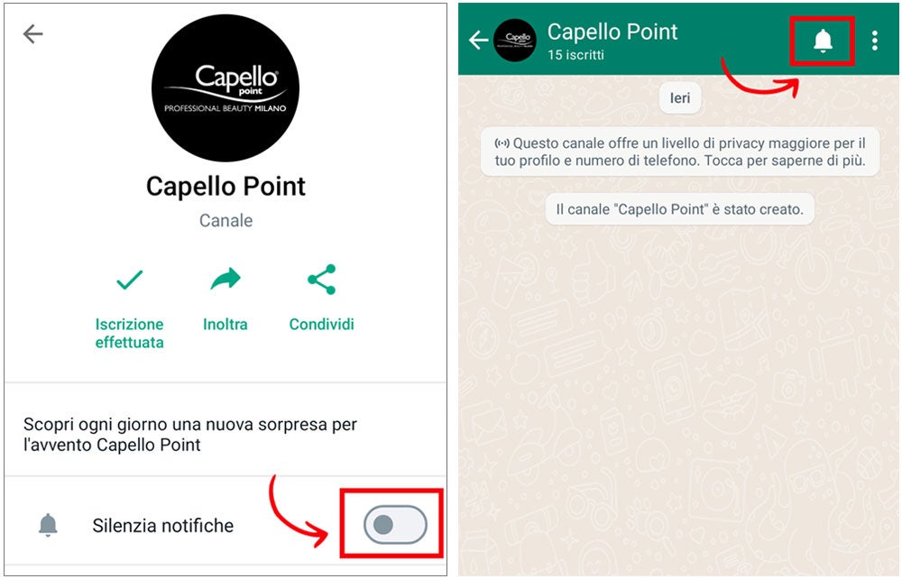 Ti aspettiamo sul nuovo canale Whatsapp!
