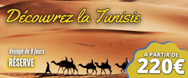 Voyage en Tunisie