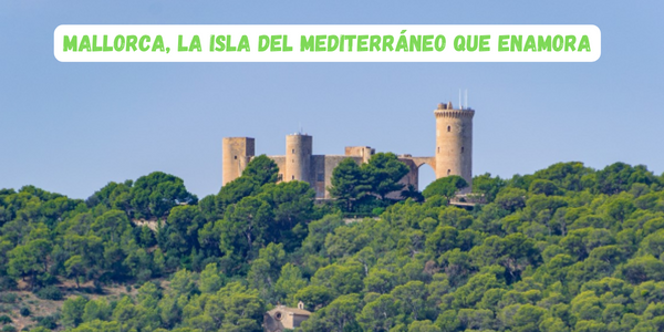 Ir al blog: Mallorca, la isla del mediterráneo que enamora