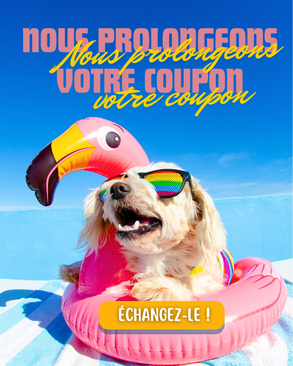 Anticipez l'été avec cette réduction