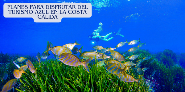 Planes para disfrutar del turismo azul en la costa calida