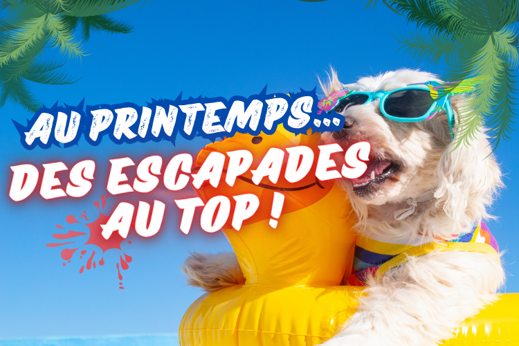 Escapades de printemps !