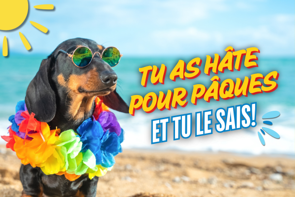 Tu as hâte pour Pâques, et tu le sais!