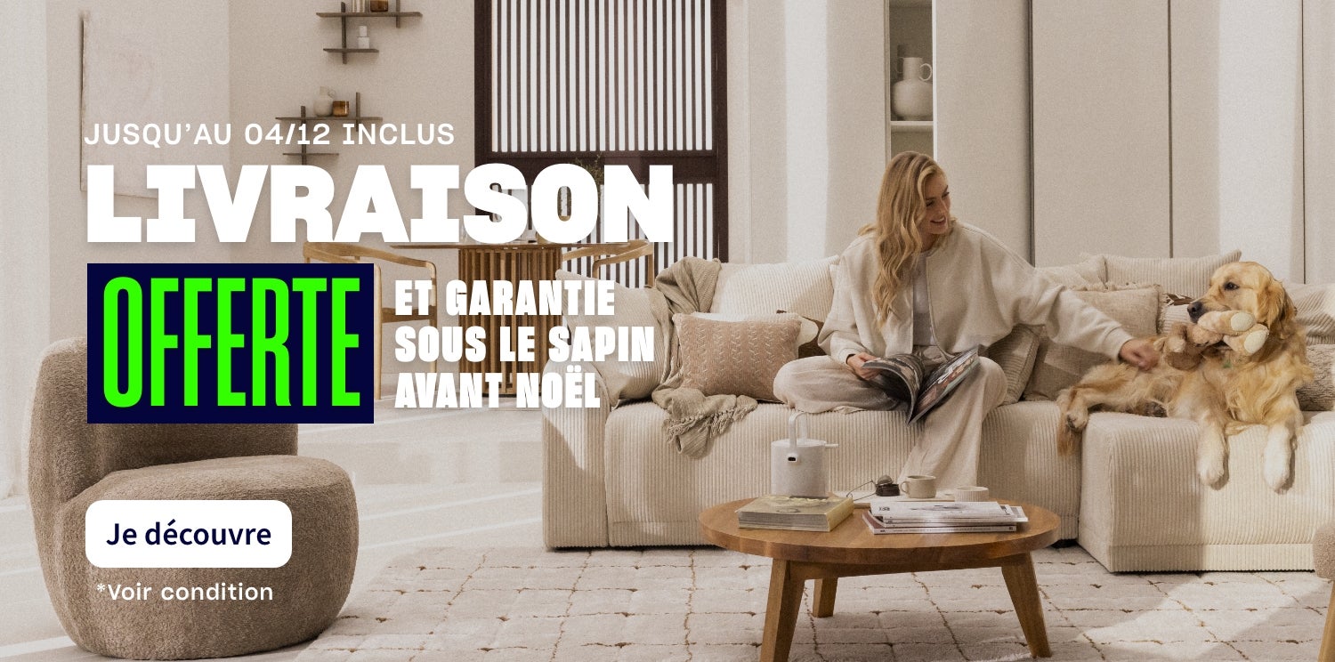 Bannière Livraison offerte