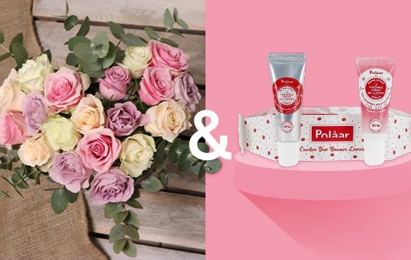coeur pastel + cracker