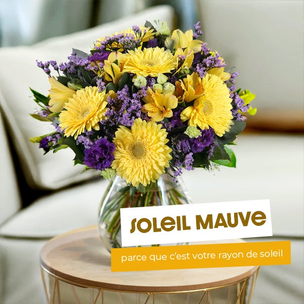 soleil mauve