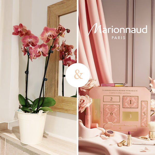 orchidée + calendrier