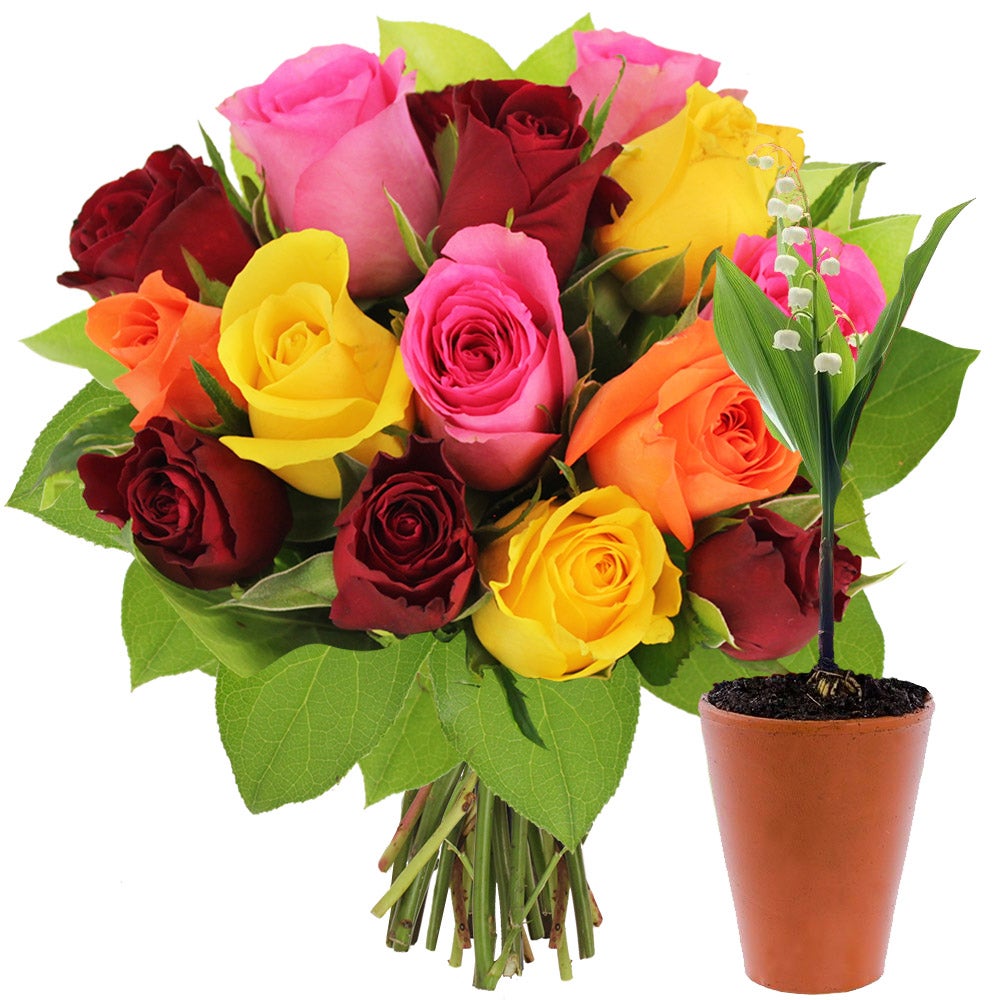 Roses multicolores + muguet