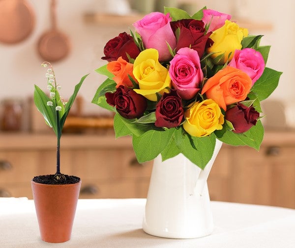 15 roses multicolores + muguet offert