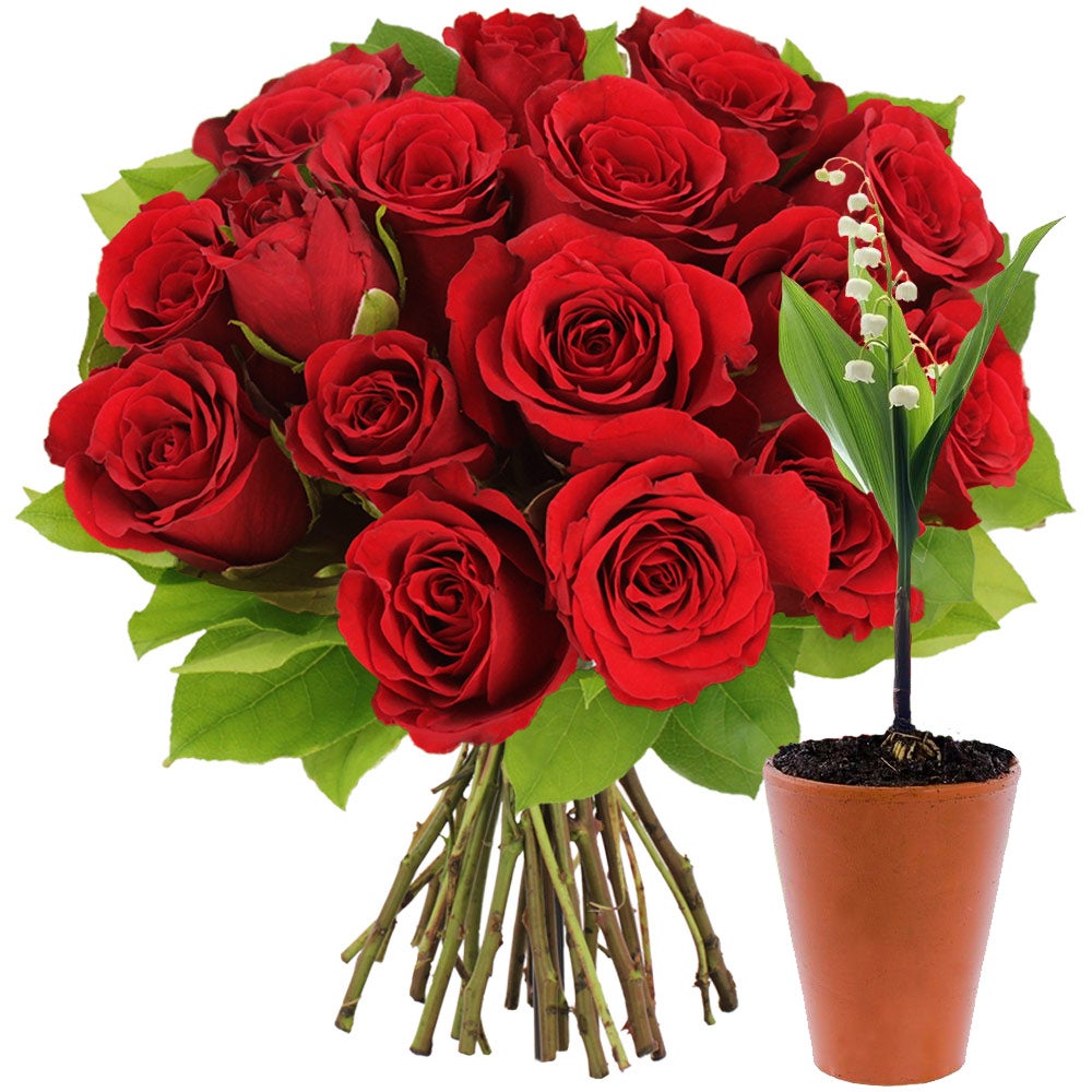 Roses rouges + muguet
