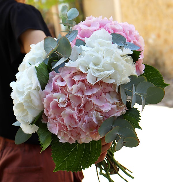 bouquet d'hortensias