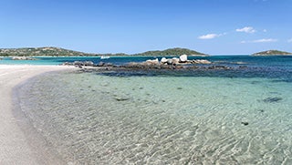 Saint_Cyprien.jpg