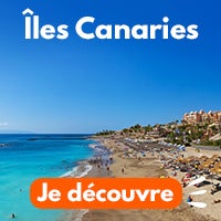 canaries2.jpg
