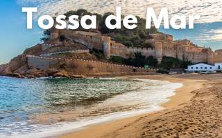 Tossa.png