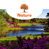 nature_2.png