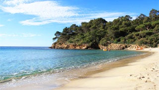 lavandou.jpg