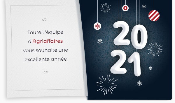 Toute l'équipe Agriaffaires vous souhaite de très belles fêtes de fin d'année !