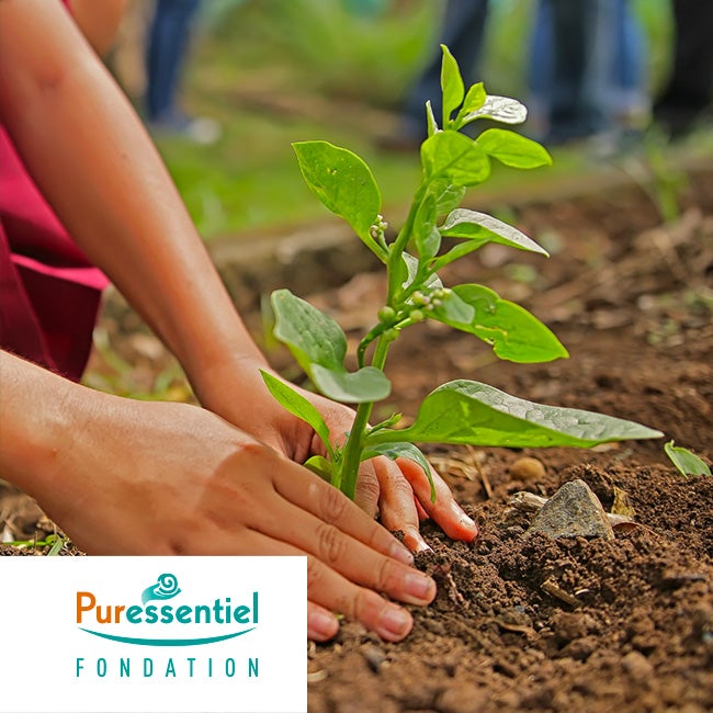 printemps solidaires