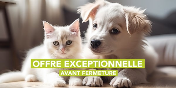 OFFRE EXCEPTIONNELLE avant fermeture