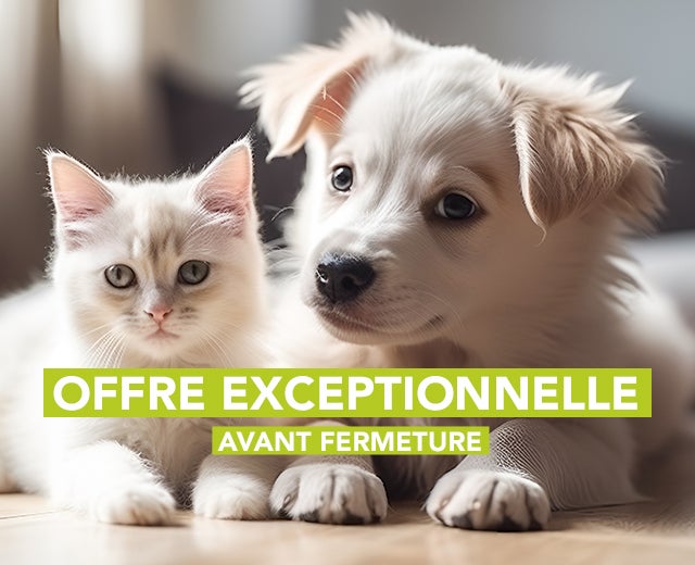 OFFRE EXCEPTIONNELLE avant fermeture