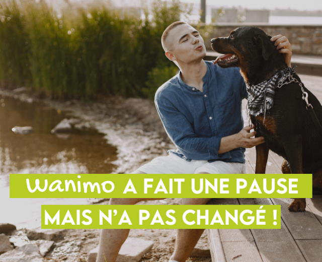 Texte alternatif