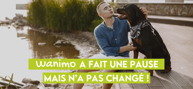 Texte alternatif