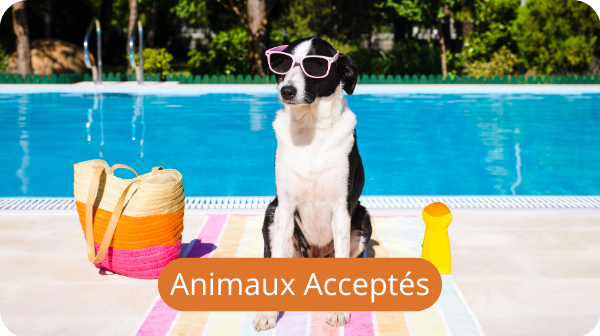 Camping avec Animaux acceptés