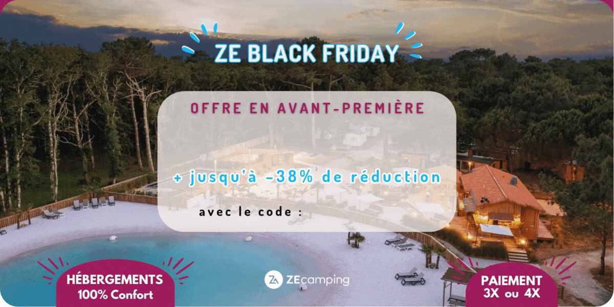 ZeBlackFriday Reduction