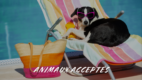 Animaux acceptés